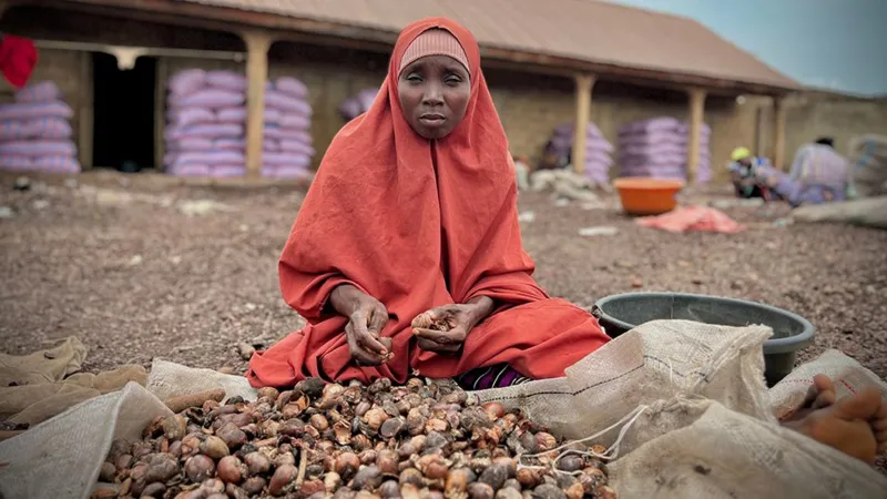 Nigeria banned shea nut exports to help women profit. But it backfired