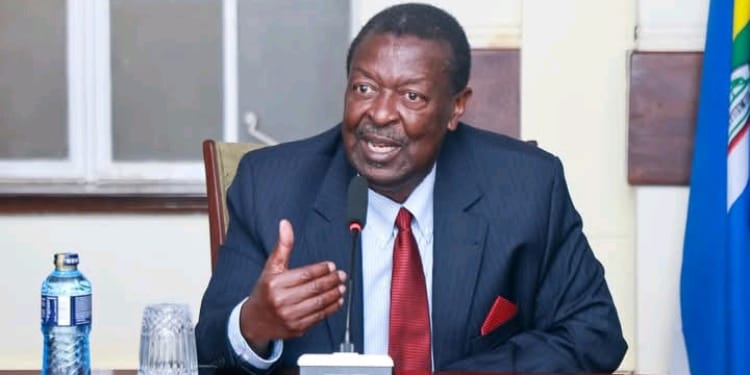 Mudavadi Tells Africa to Drop Their Bids and Back Kenya at UNGA