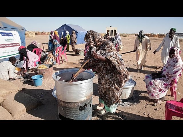 WFP decries atrocities in Sudan’s El-Fasher amid humanitarian crisis
