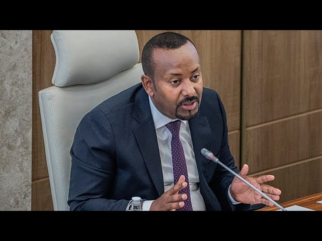 UN rights chief urges Ethiopia and Eritrea to de‑escalate tensions