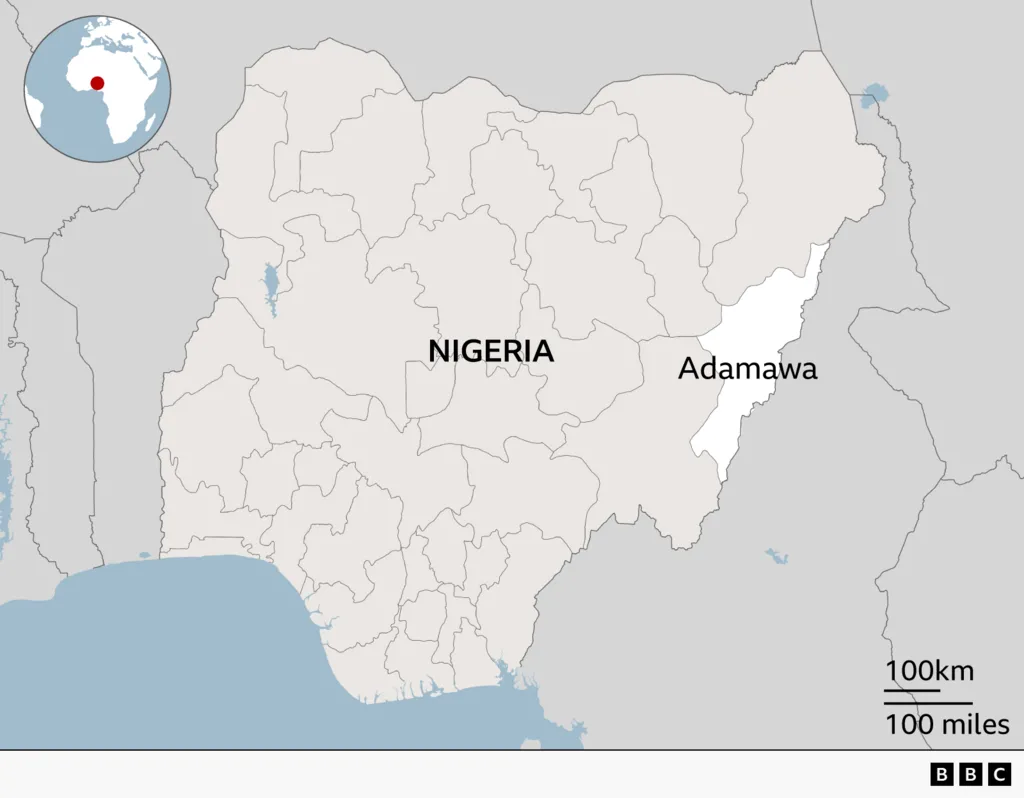 IS claims responsibility for Nigeria attack that killed 29 people