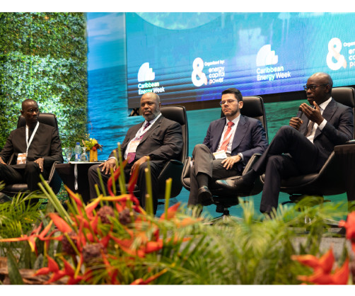 Caribbean Scales Up Energy Financing as Afreximbank Expands CARICOM Commitment